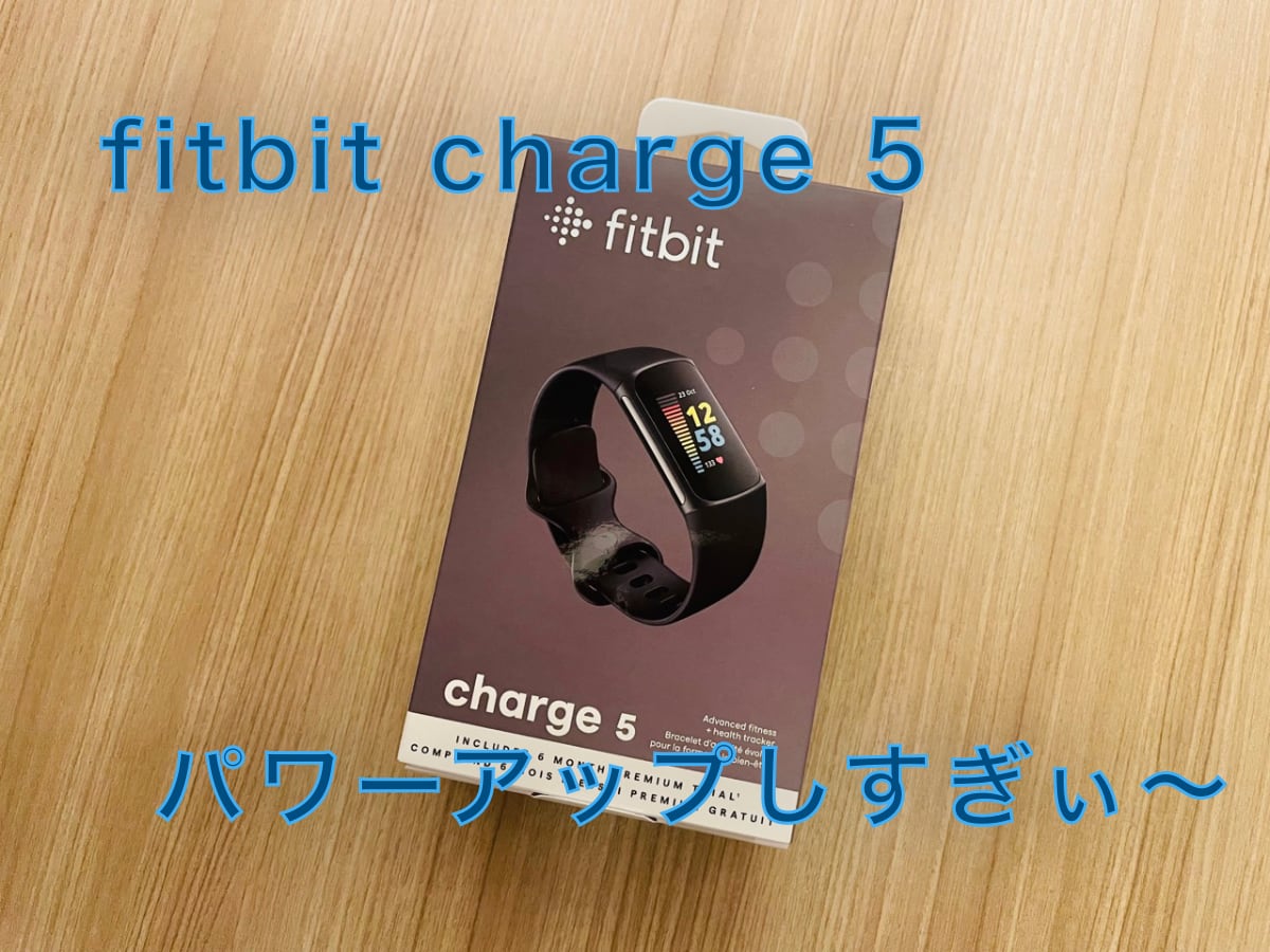 市場 Suica対応 5 スチールブルー Fitbit 最大7日間のバッテリーライフ 